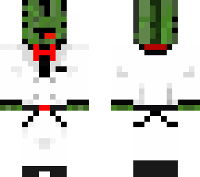 ninja cactus