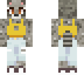 racoon 3