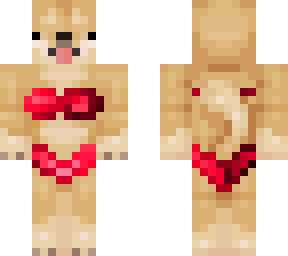doge in bikini