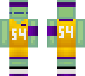 basketball turtle