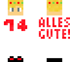 14th birthday skin