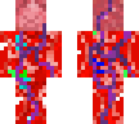 coral steve