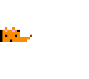 corgi