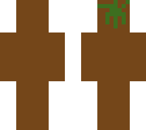 grass