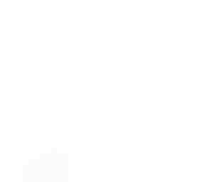 blank