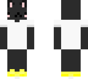 cat black