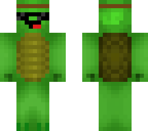 summertime turtle