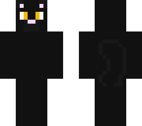 the black cat