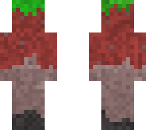 earth