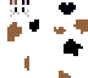 kitty
