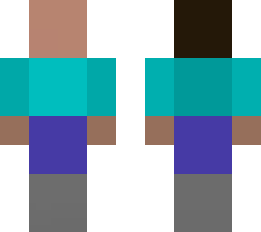 2 bit steve