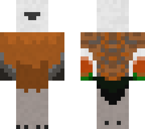 paradise shelduck (female)