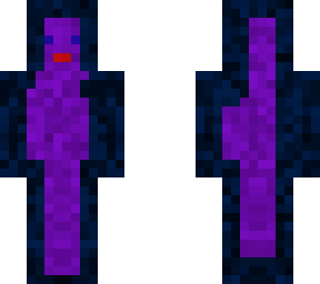 netter portal