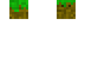 is that a floting grass block