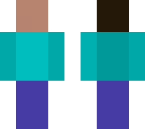 1 bit steve