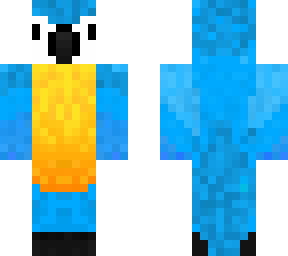 bird