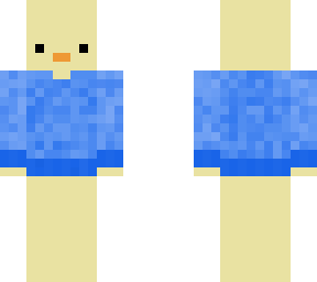 duck with sweater