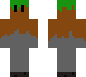 minecraft cartoon