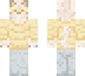 cat with a yellow sweater