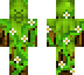 forest steve