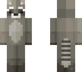 racoon