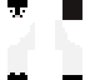 baby penguin