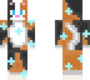calico cat