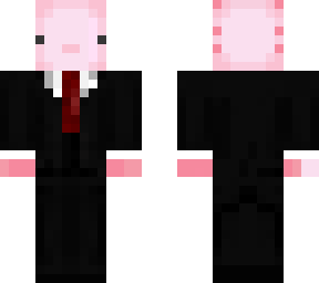 mr.  axolotl