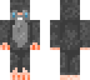 rat