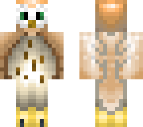 owl skin 1