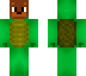 turtle bear
