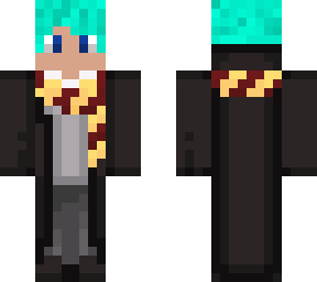 harry potter skin