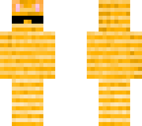 orange cat with sunglass