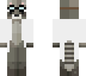 racoon scientist