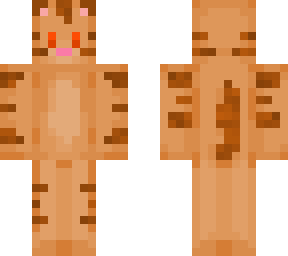 brown tommy cat