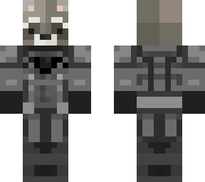 racoonman