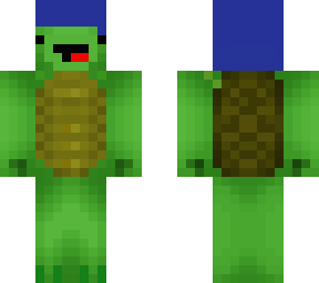 lapis helmet turtle