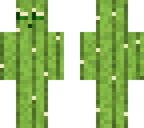 mr cactus