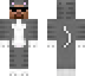 steve cat swag