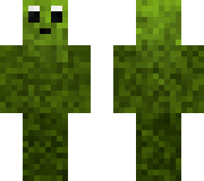 bush guy