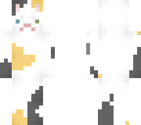 calico kitty! <3
