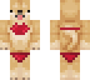 doges in a bi