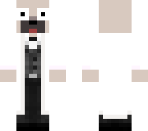doctor dog