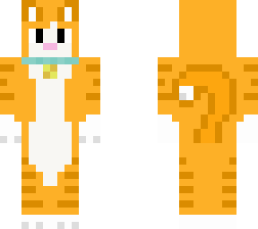 gato