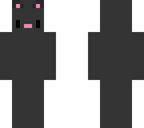 black cat