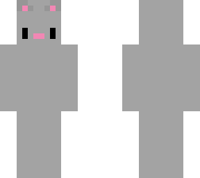 grey cat