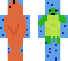 fish and turtle