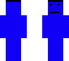 ninja dev