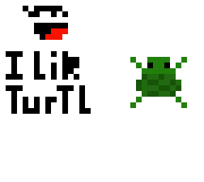 i like turtles