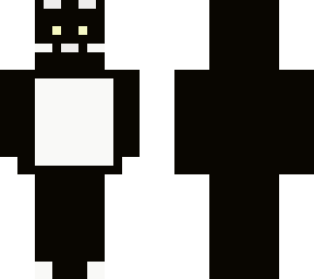 shadow the cat